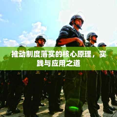 推动制度落实的核心原理,实践与应用之道