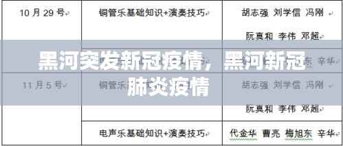黑河突发新冠疫情,黑河新冠肺炎疫情