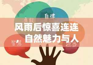 风雨后惊喜连连,自然魅力与人生启示探寻