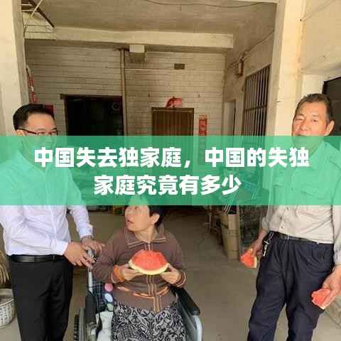 中国失去独家庭,中国的失独家庭究竟有多少