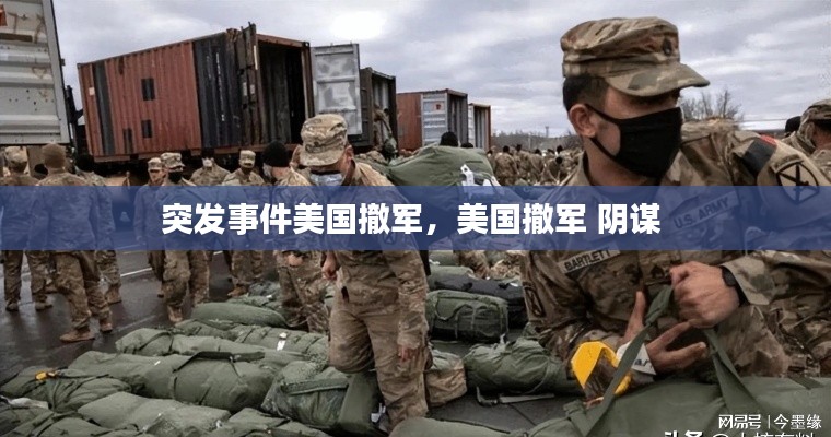 以卵就石 第2页