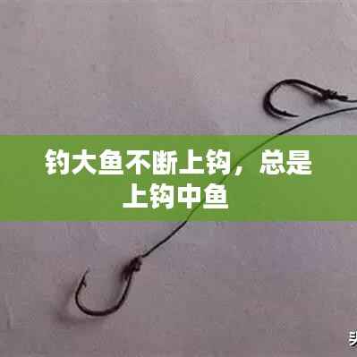 钓大鱼不断上钩,总是上钩中鱼