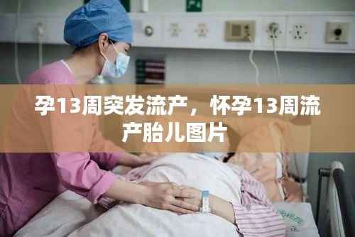 长命富贵 第2页