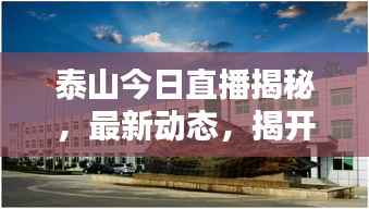 泰山今日直播揭秘,最新动态,揭开神秘面纱,一览群山之壮美
