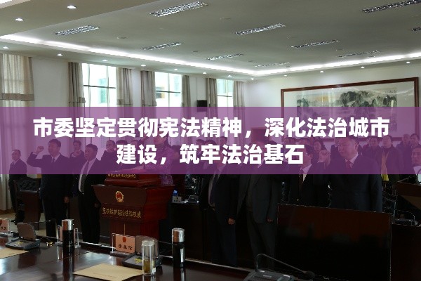 市委坚定贯彻宪法精神,深化法治城市建设,筑牢法治基石