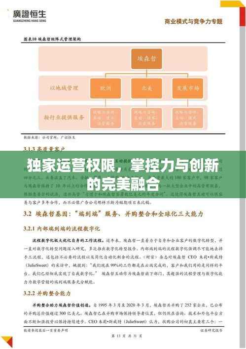 独家运营权限，掌控力与创新的完美融合