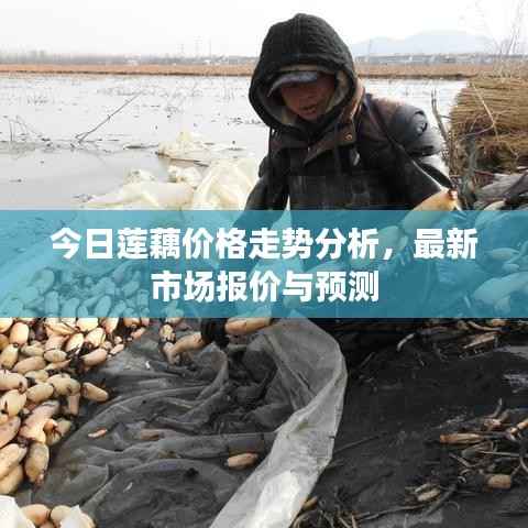 天堂地狱 第2页