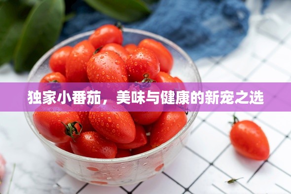 独家小番茄,美味与健康的新宠之选