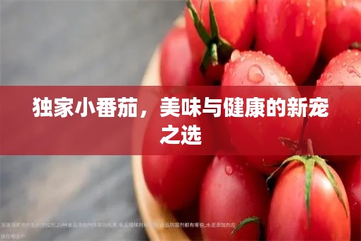 独家小番茄,美味与健康的新宠之选