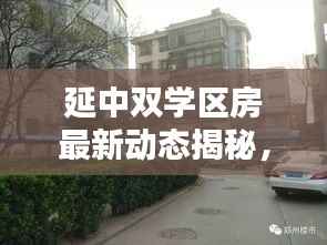 延中双学区房最新动态揭秘,不容错过的教育地产资讯!