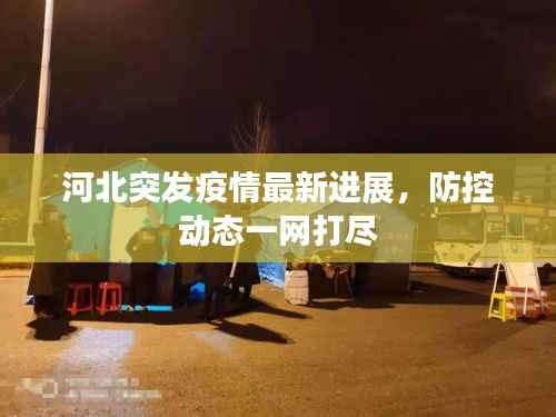 河北突发疫情最新进展,防控动态一网打尽