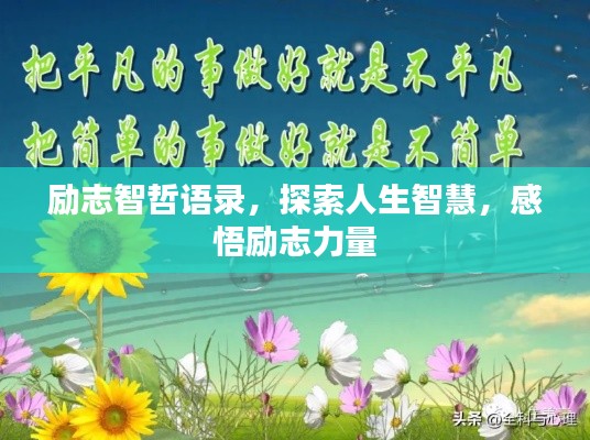 衣不重采 第3页