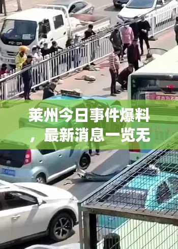 莱州今日事件爆料,最新消息一览无余!