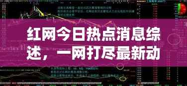 红网今日热点消息综述,一网打尽最新动态