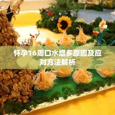 怀孕16周口水增多原因及应对方法解析