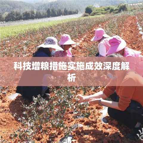 科技增粮措施实施成效深度解析