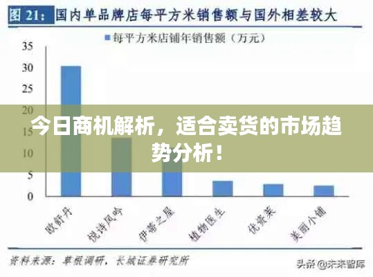 怀真抱素 第2页