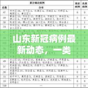 山东新冠病例最新动态,一类感冒病例最新消息揭秘