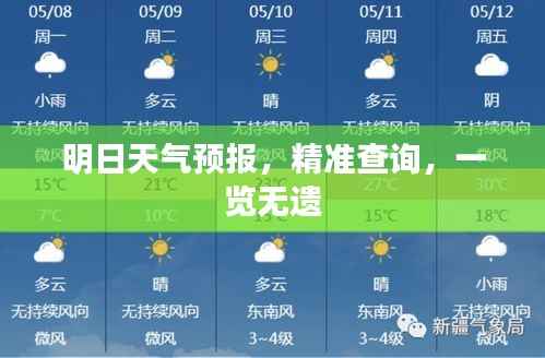 明日天气预报,精准查询,一览无遗