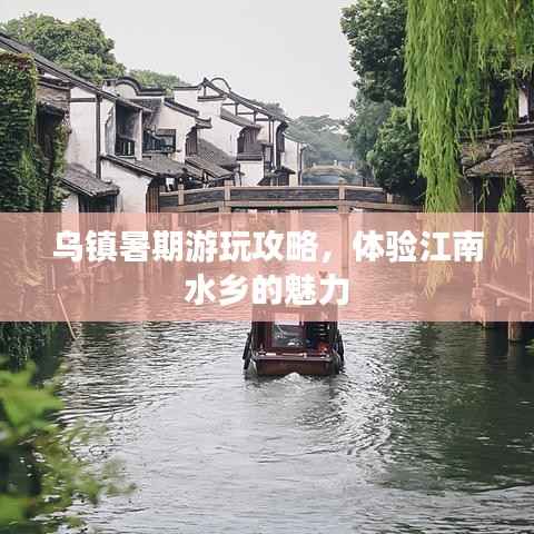 乌镇暑期游玩攻略,体验江南水乡的魅力