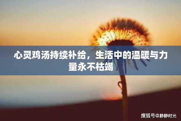 心灵鸡汤持续补给,生活中的温暖与力量永不枯竭