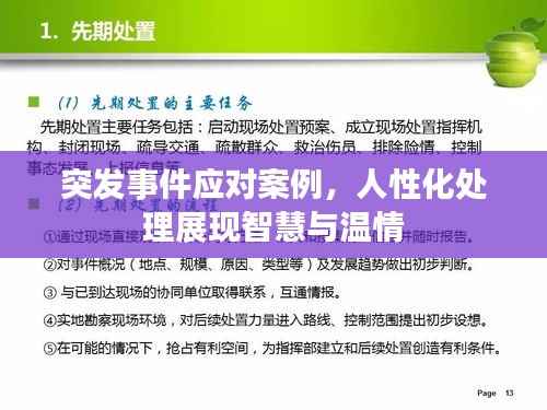突发事件应对案例,人性化处理展现智慧与温情