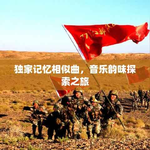 独家记忆相似曲,音乐韵味探索之旅