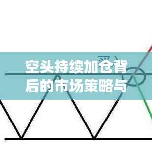 空头持续加仓背后的市场策略与风险洞察