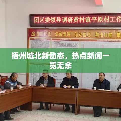 梧州城北新动态,热点新闻一览无余