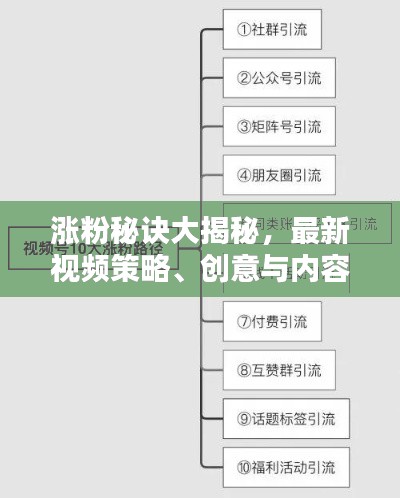 涨粉秘诀大揭秘,最新视频策略、创意与内容的王者之道
