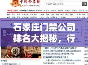 石家庄门禁公司排名大揭秘,行业影响力与优质服务一览