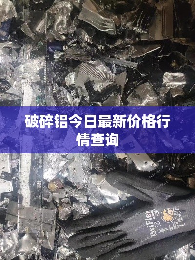 破碎铝今日最新价格行情查询