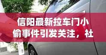 展翅欲飞 第2页