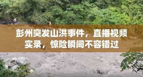 彭州突发山洪事件,直播视频实录,惊险瞬间不容错过