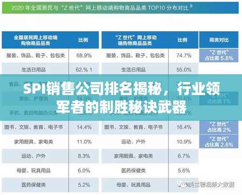 SPI销售公司排名揭秘,行业领军者的制胜秘诀武器