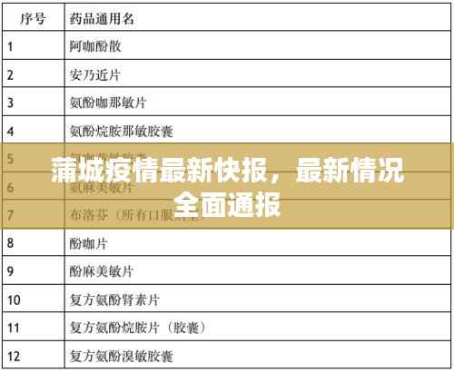 蒲城疫情最新快报,最新情况全面通报