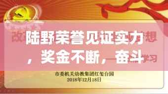 陆野荣誉见证实力,奖金不断,奋斗铸就辉煌之路