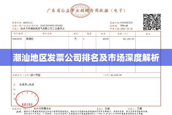 潮汕地区发票公司排名及市场深度解析
