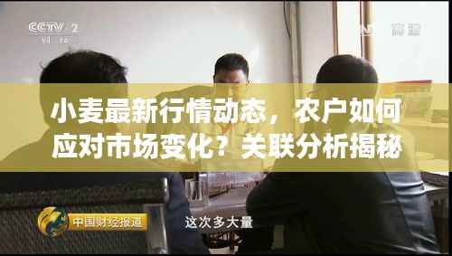 小麦最新行情动态，农户如何应对市场变化？关联分析揭秘！