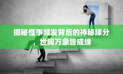 揭秘怪事频发背后的神秘缘分,世间万象皆成缘