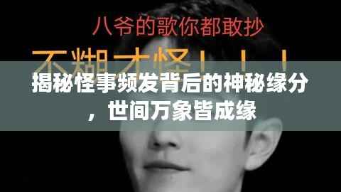 揭秘怪事频发背后的神秘缘分,世间万象皆成缘