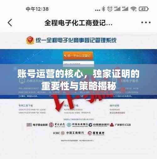 账号运营的核心,独家证明的重要性与策略揭秘