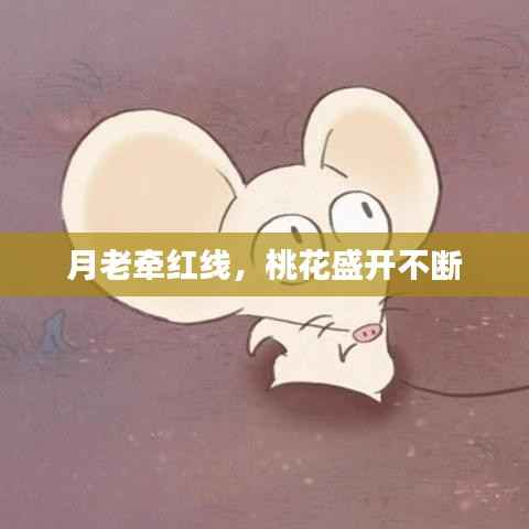 月老牵红线,桃花盛开不断