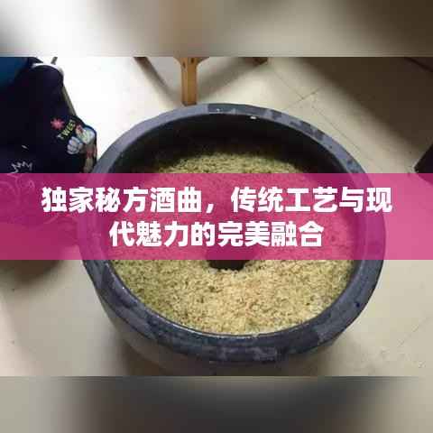 独家秘方酒曲,传统工艺与现代魅力的完美融合