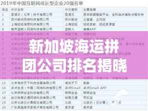 新加坡海运拼团公司排名揭晓,权威榜单揭秘行业巨头!