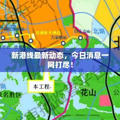 新港线最新动态，今日消息一网打尽！