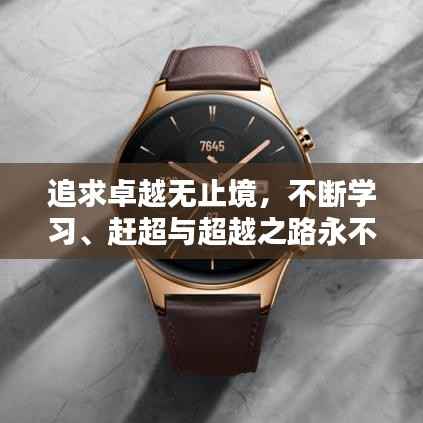 追求卓越无止境，不断学习、赶超与超越之路永不停歇