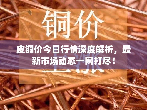 皮铜价今日行情深度解析,最新市场动态一网打尽!