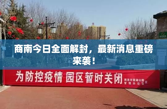 商南今日全面解封,最新消息重磅来袭!