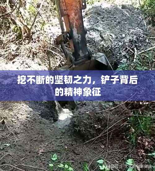 挖不断的坚韧之力,铲子背后的精神象征
